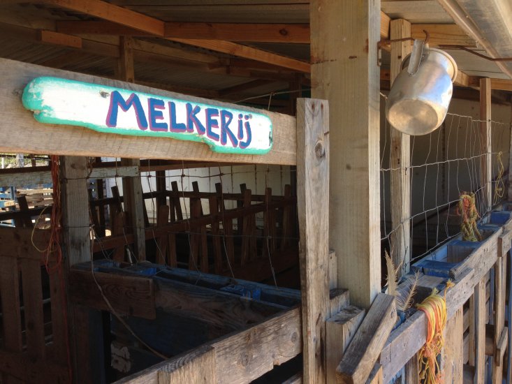 Aletta's Semper Kontentu Goat Cheese