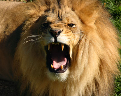 ZOO Olomouc
