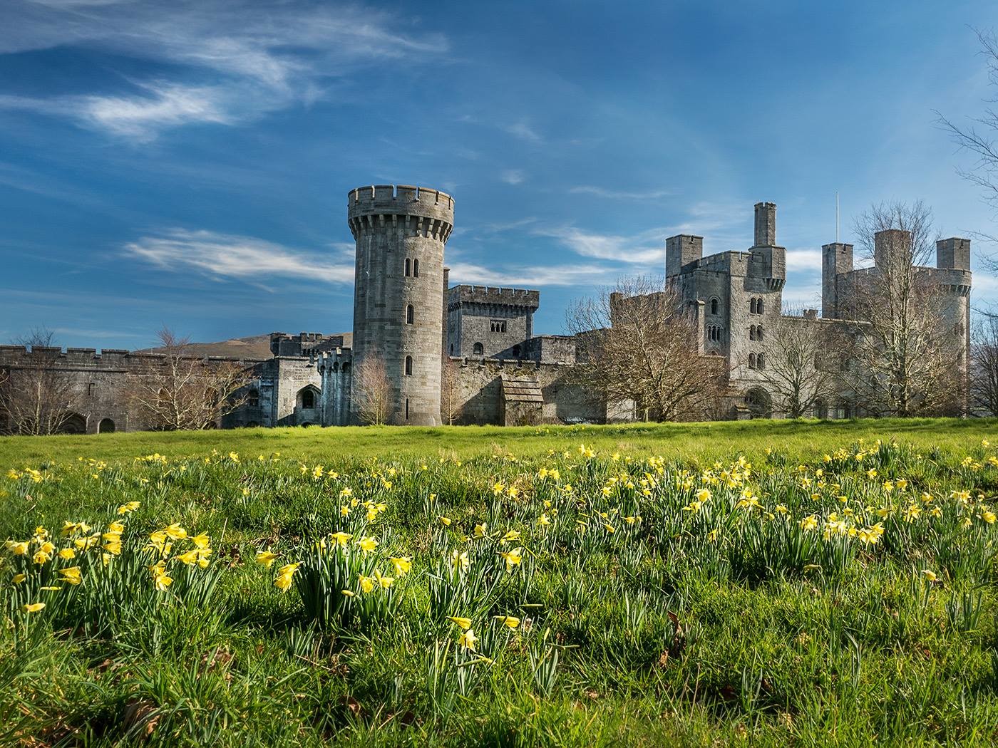 Penrhyn Castle Things To See Bangor