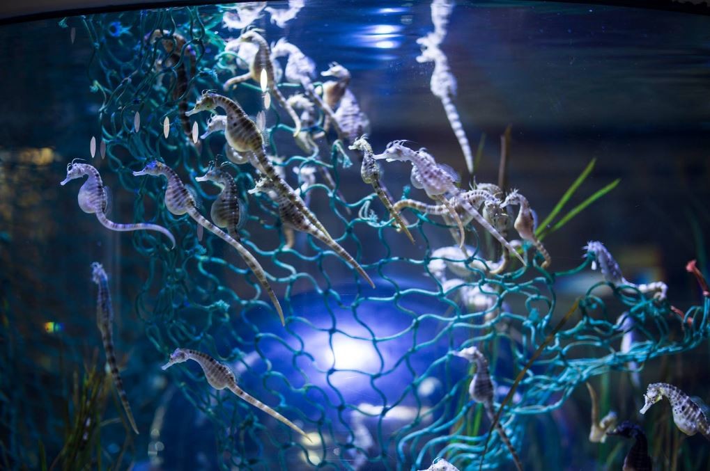 Bristol Aquarium Sightseeing Bristol