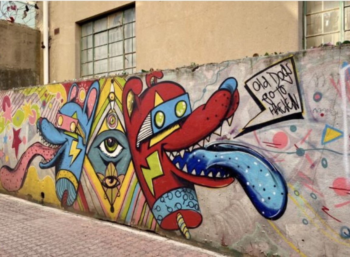 Braamfontein Street Art Tours with City Skate Tours Johannesburg