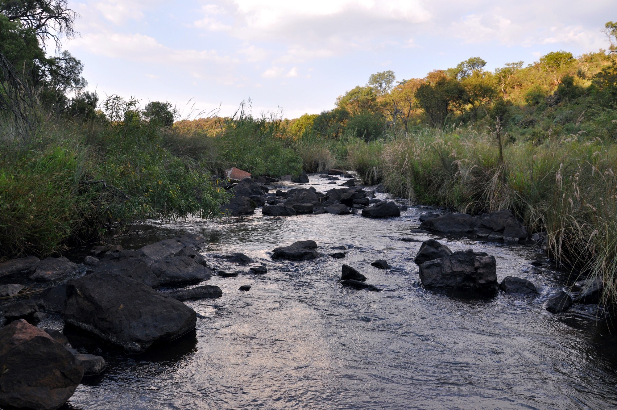 Review: Ezemvelo Nature Reserve