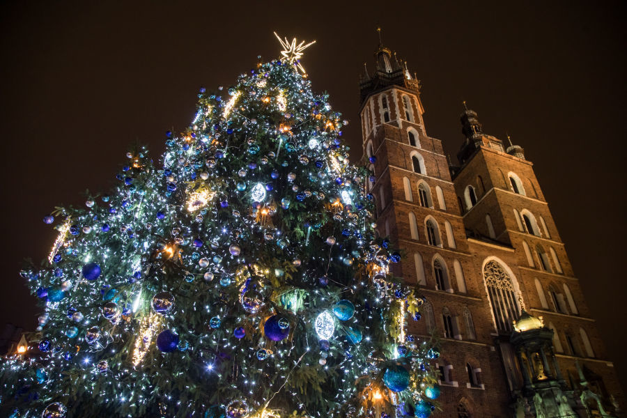 Christmas Tree Lighting on the Main Market in Kraków