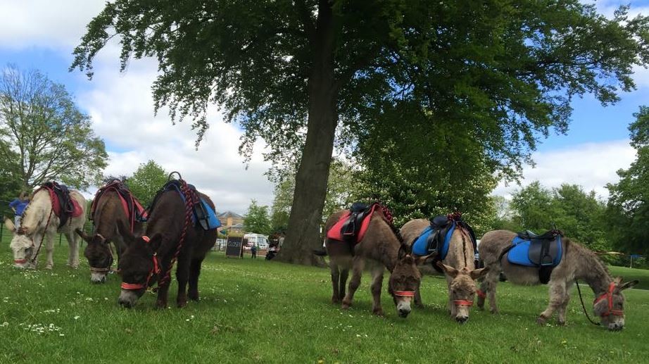 heaton-park-sightseeing-manchester