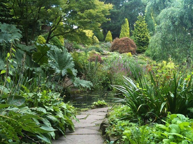 Fletcher Moss Botanical Garden | Sightseeing | Manchester