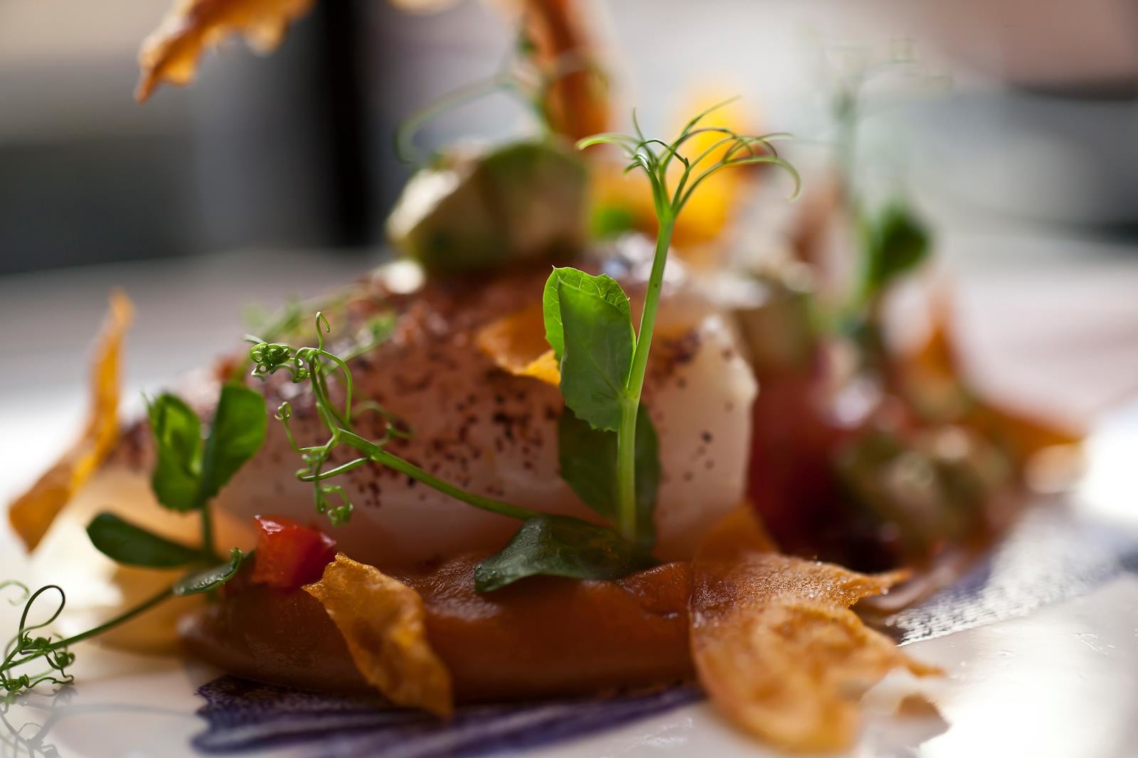 Fiskfelagid Fish Company Restaurants Reykjavik