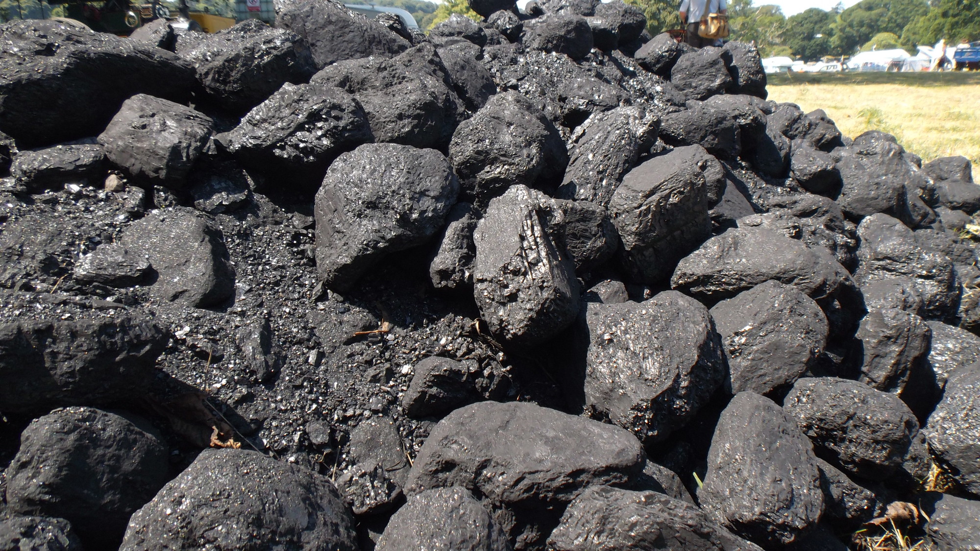 Which Coal Type Is Most Valuable