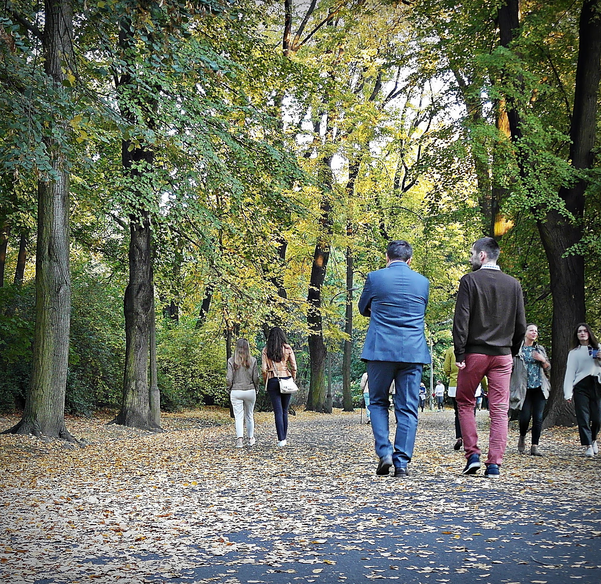 The Golden Polish Autumn in Warsaw | Złota Polska Jesień