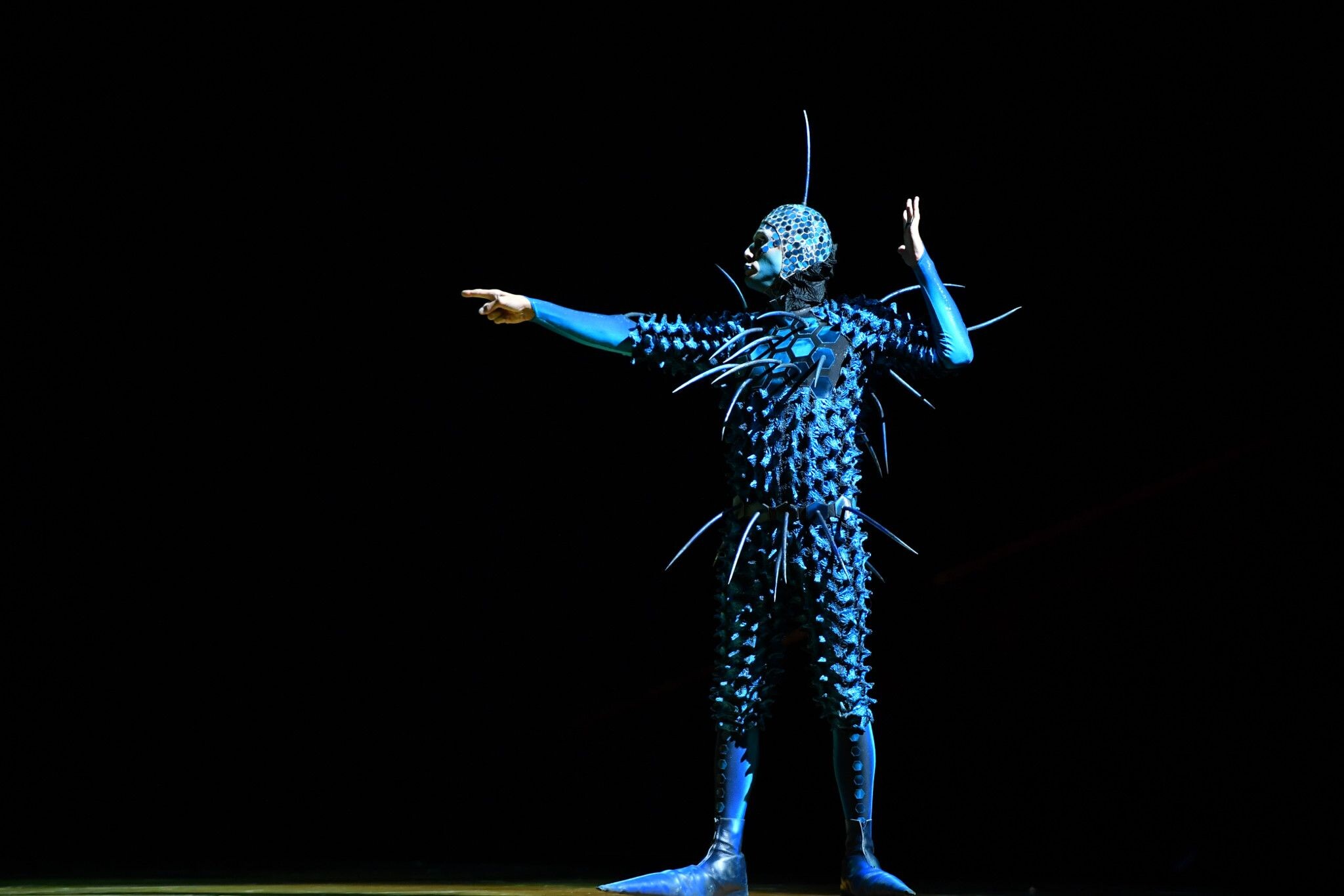 Cirque du Soleil OVO