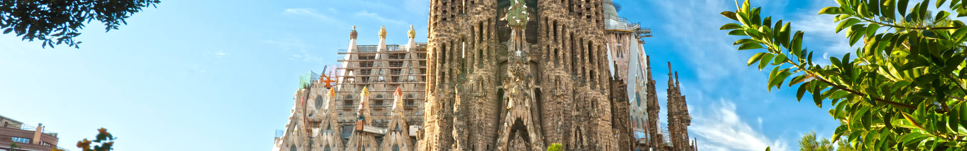 Catalan Food: 5 Must-Try Dishes in Barcelona hero image