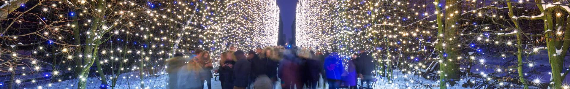 Christmas & New Year's Eve in Gdańsk hero image