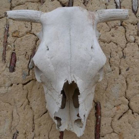 Ohrid, Struga & Prespa