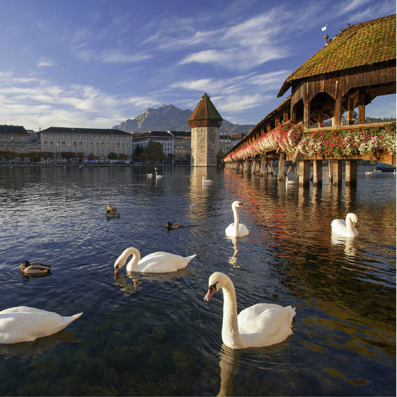 Lucerne