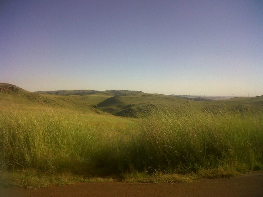 Photo by Friends of the Suikerbosrand