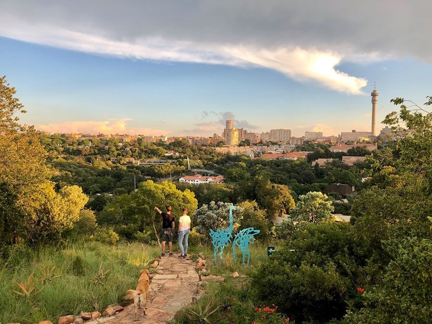 The Wilds, Johannesburg