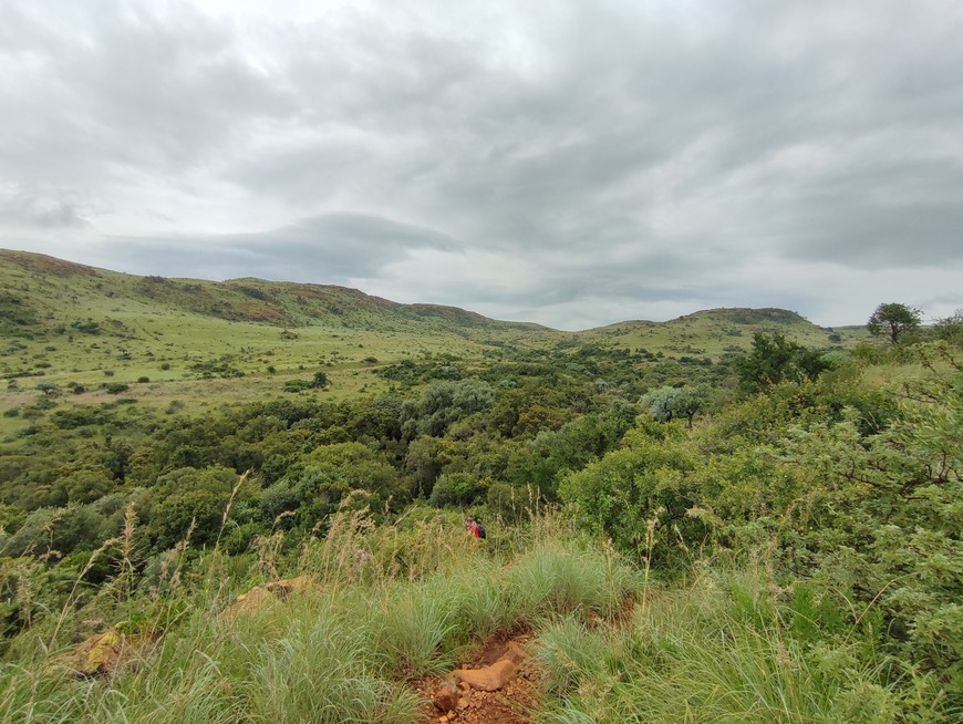 The final descent on the Bokmakierie trail at Suikerbosrand