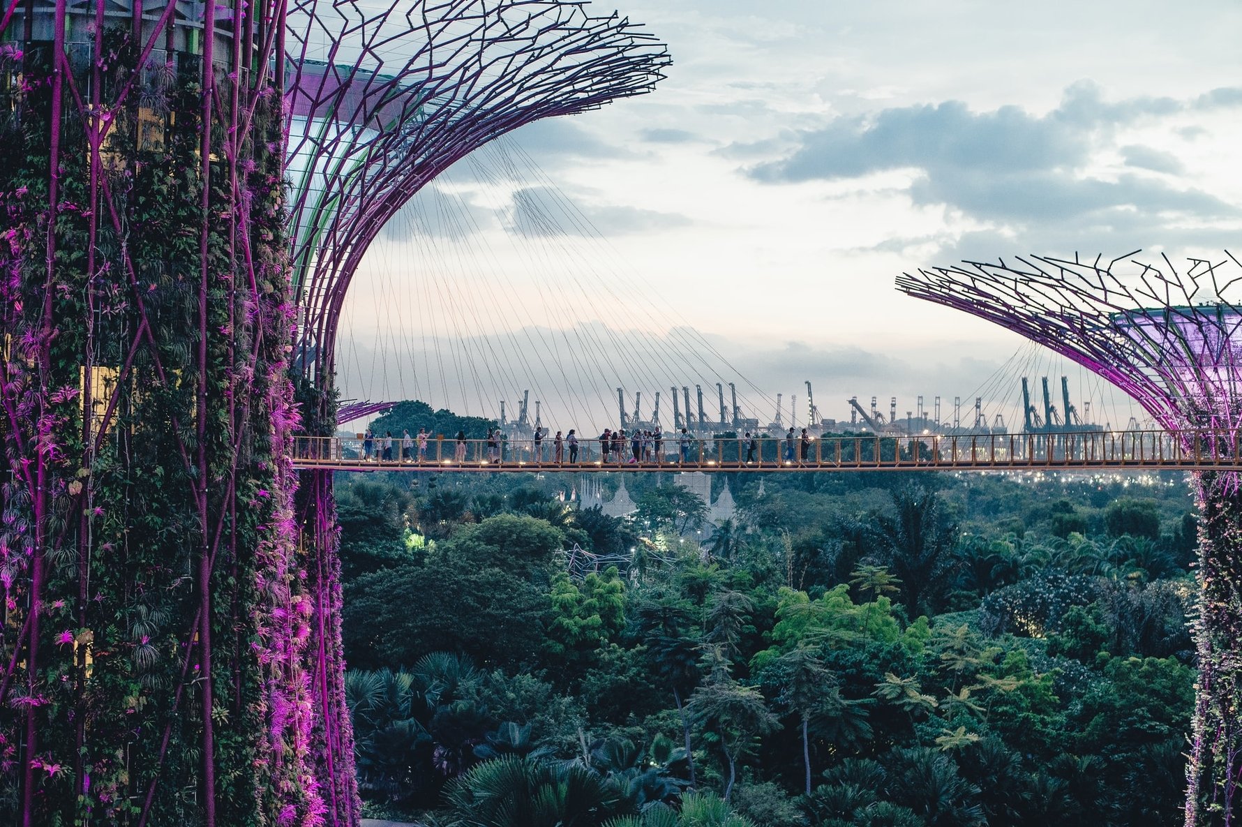 24 Hours in Singapore - Supertrees © annie-spratt