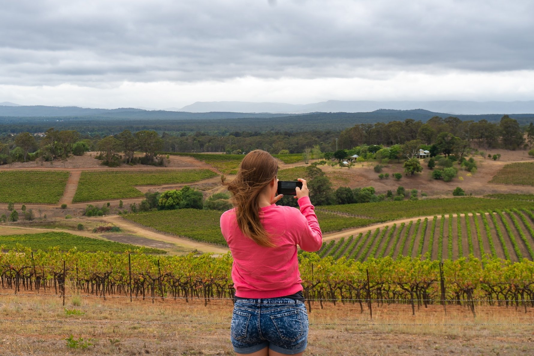 How to Plan for a Wine Tasting Tour in Hunter Valley © szabolcs-toth-unsplash