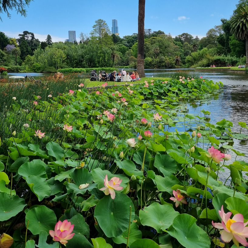 Royal Botanic Gardens Victoria © Royal Botanic Gardens Victoria /FB