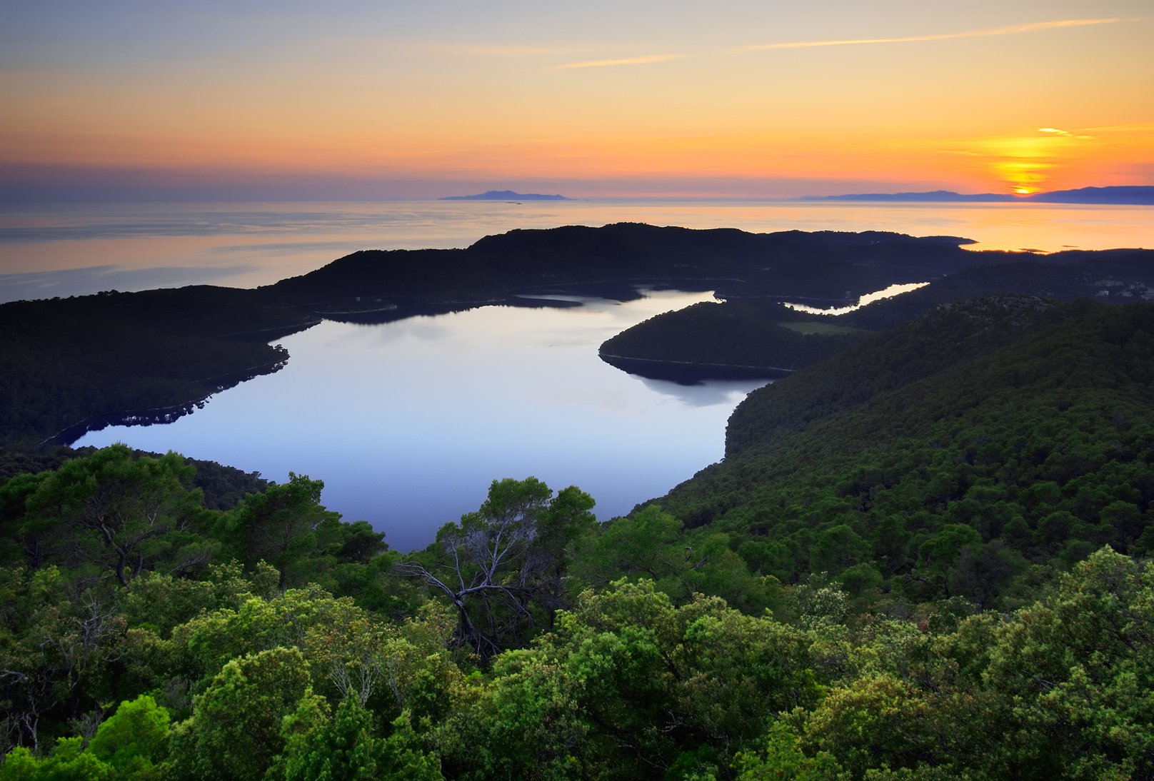 mljet 