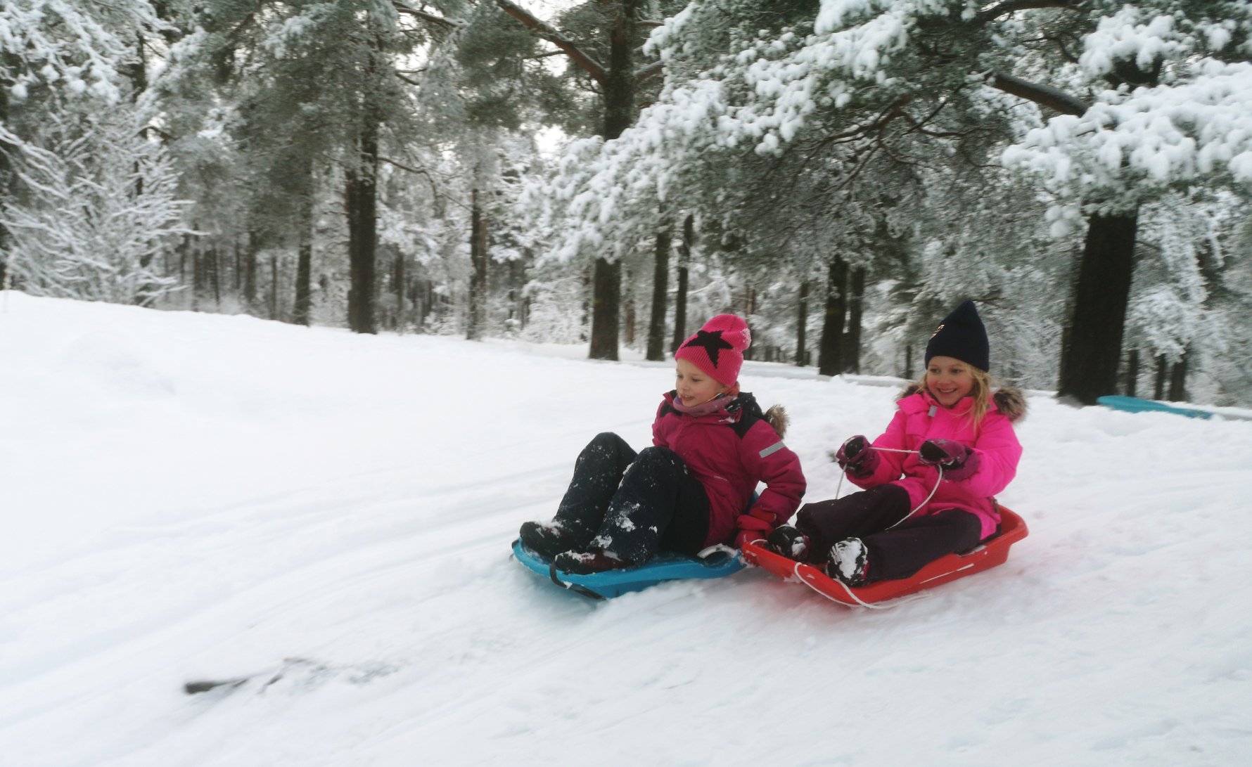 Sledging at Nõmme