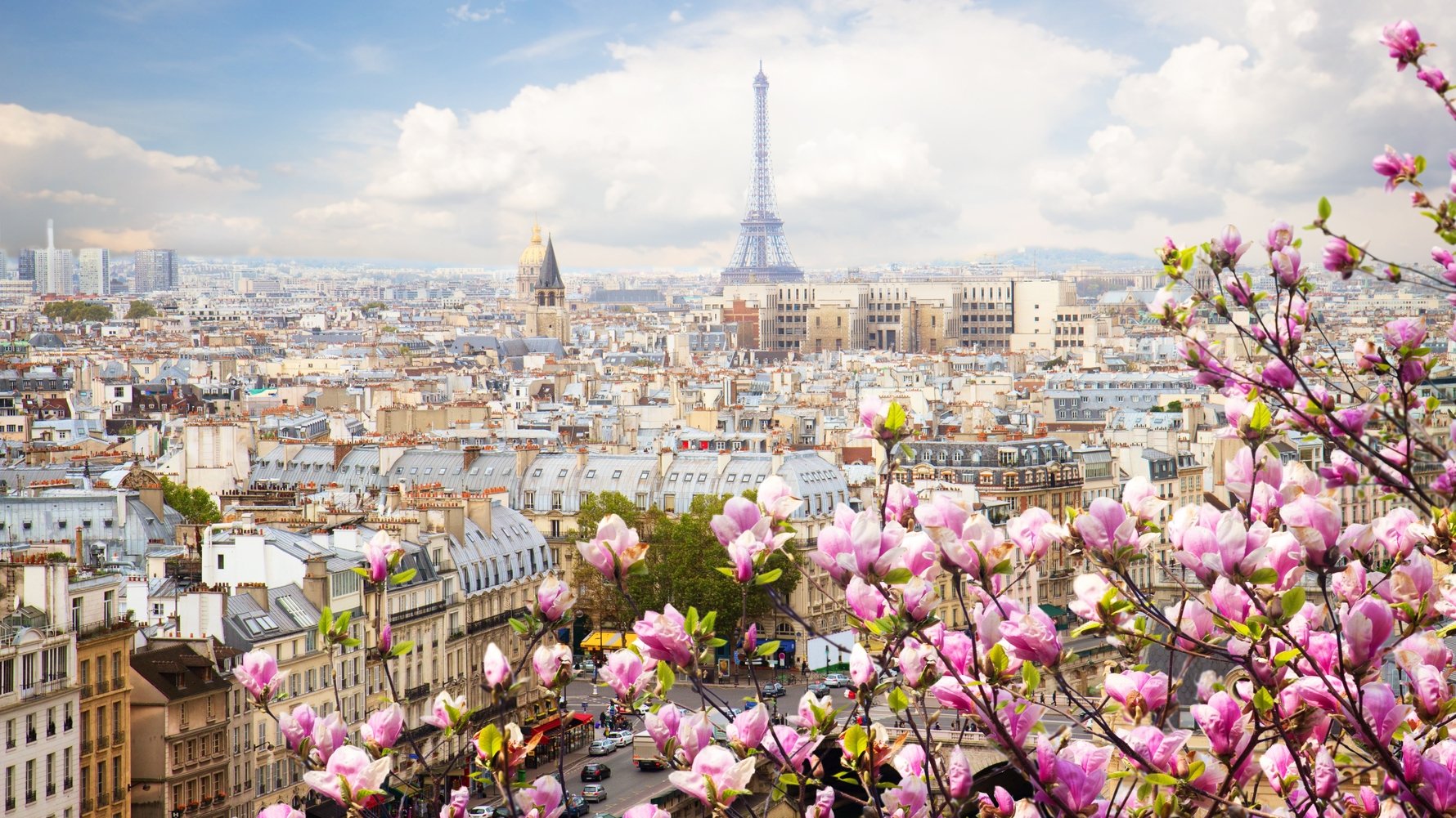 © Neirfy Shutterstock.com skyline of Paris