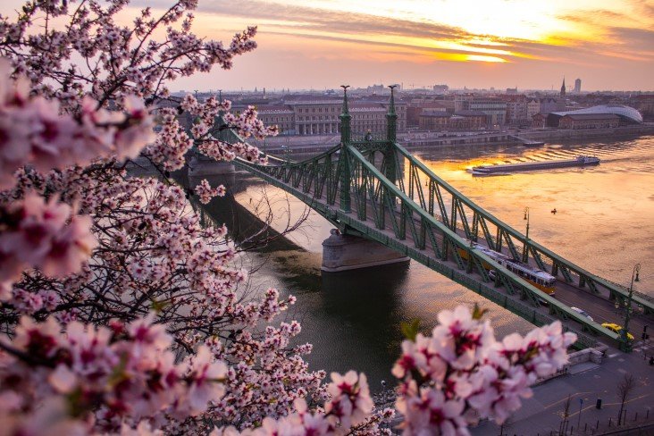 Freedom Bridge In Budapest