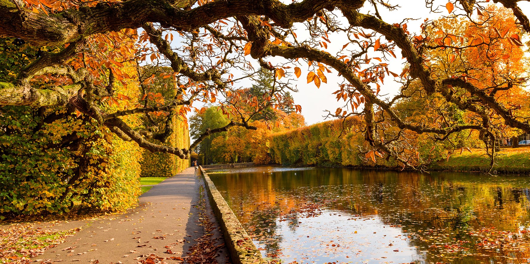 Oliwa Park in Autumn, Gdańsk