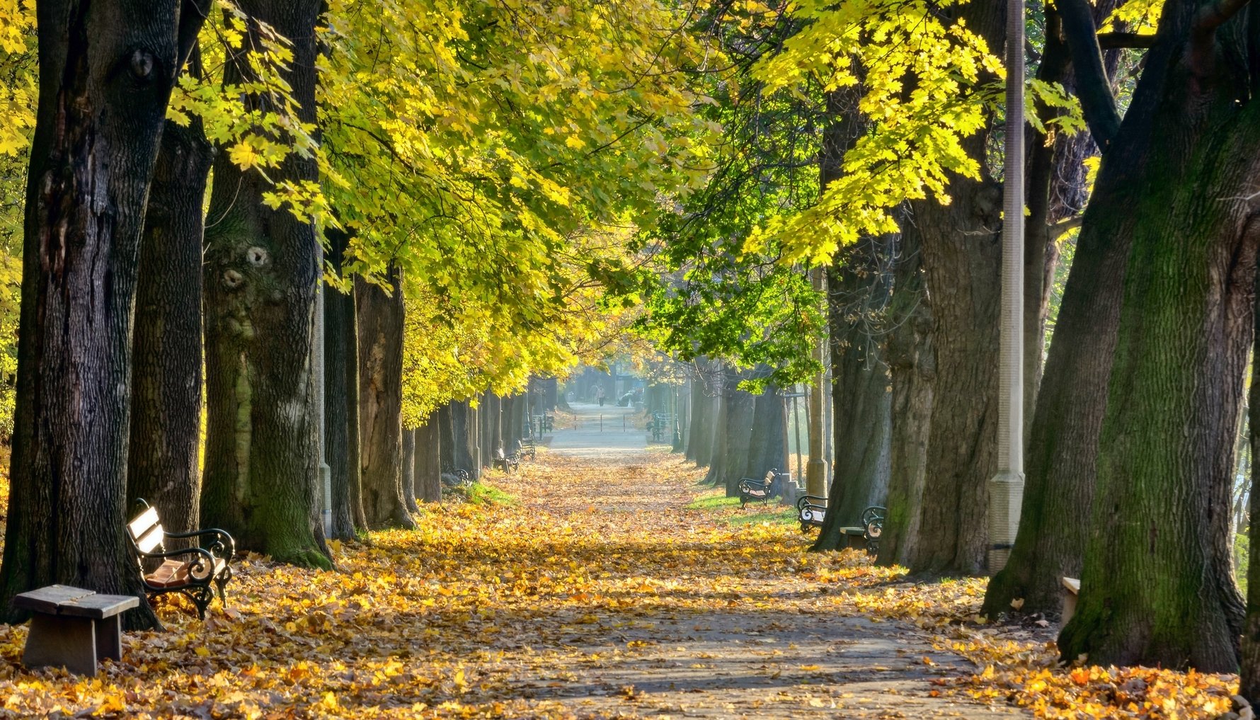 Cycling in Kraków | Kraków’s Best Bike Trips, Tours & Rentals