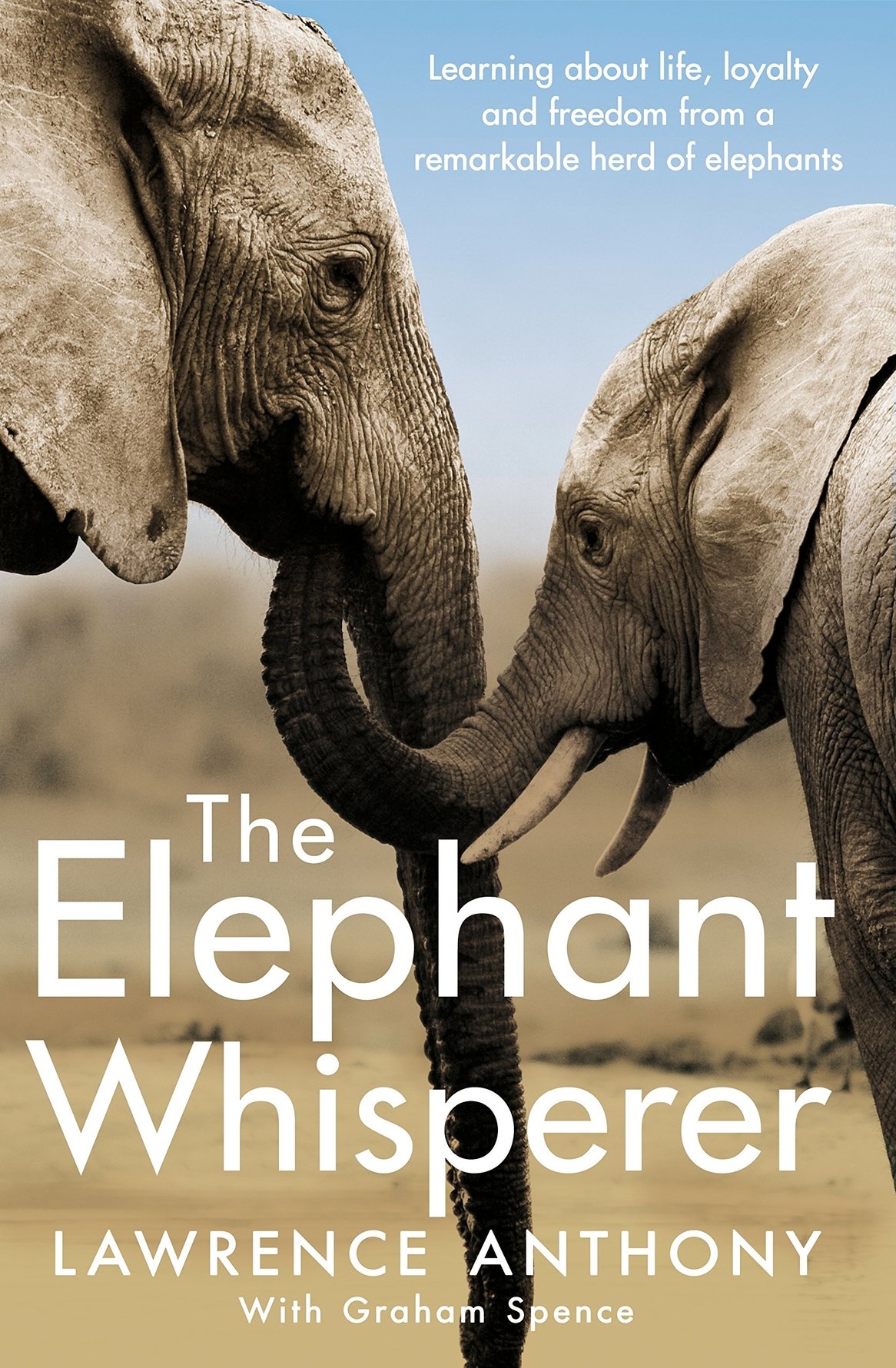 Learning from wild elephants in Africa