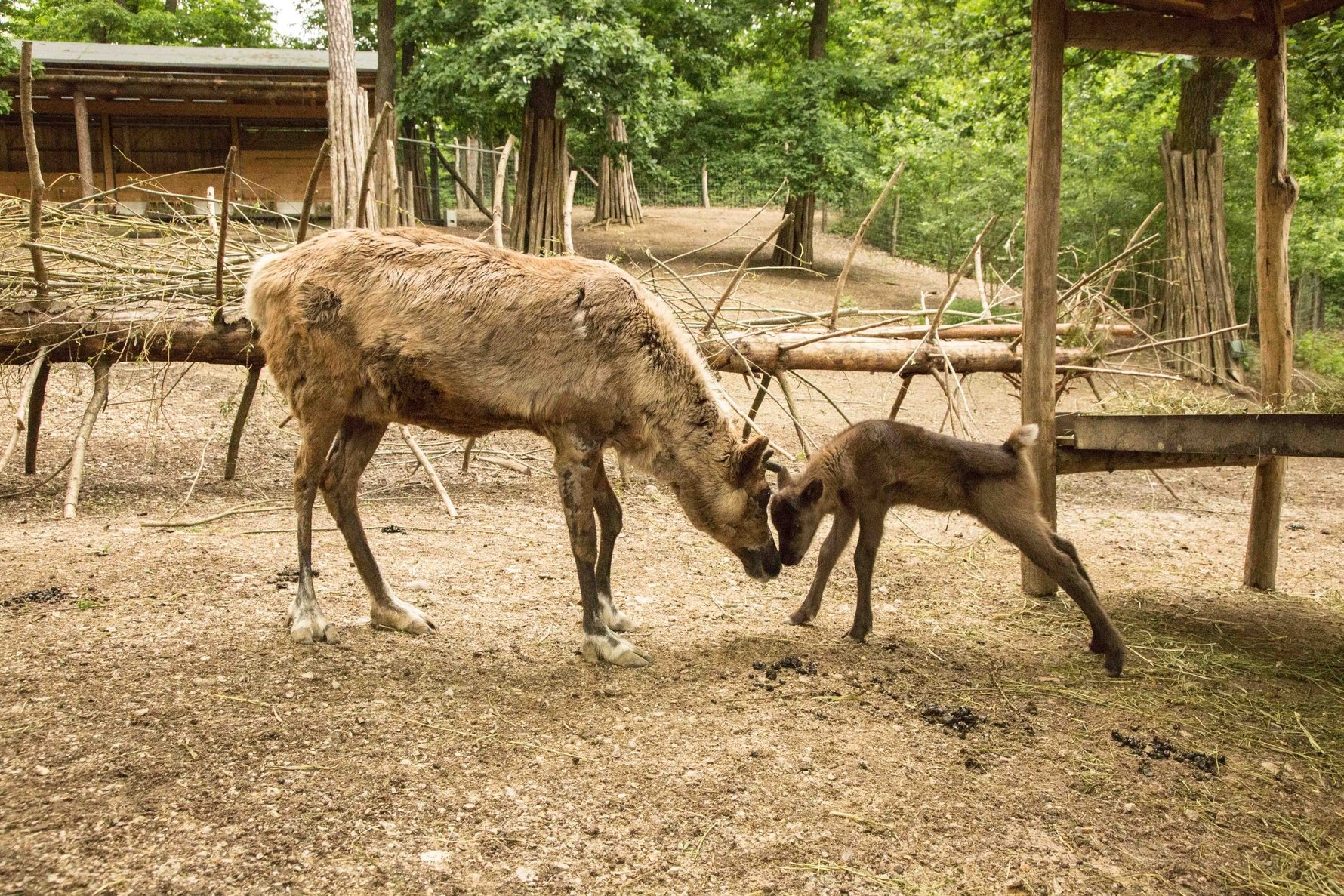 Ljubljana Zoo