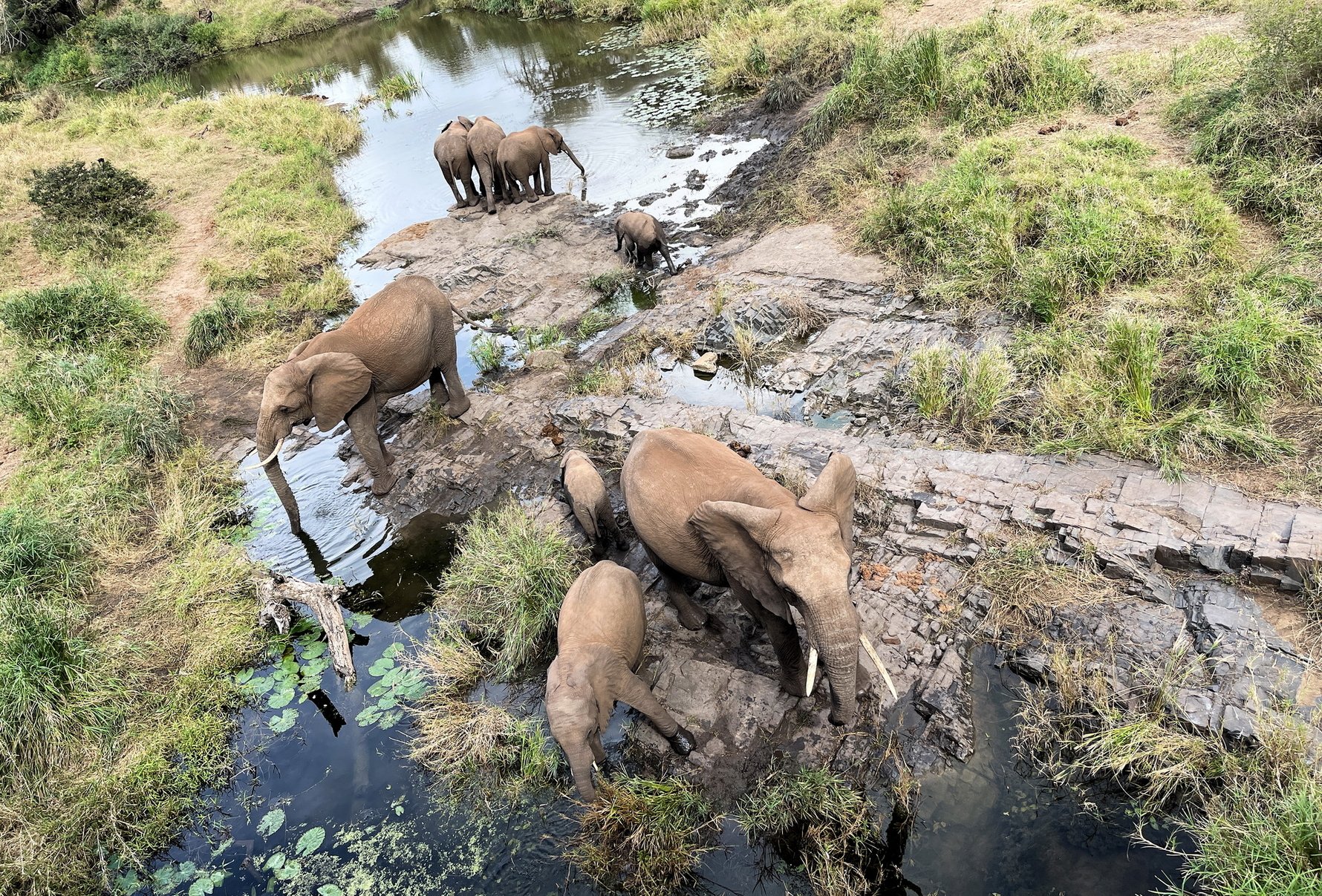 Thanda Safari Photo: Christian Sperka