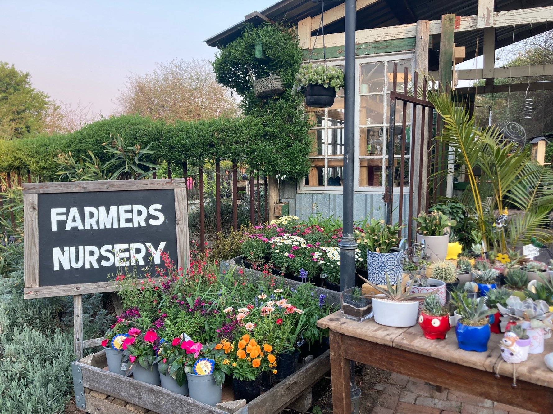 Why you need to visit Fourways Farmers Market