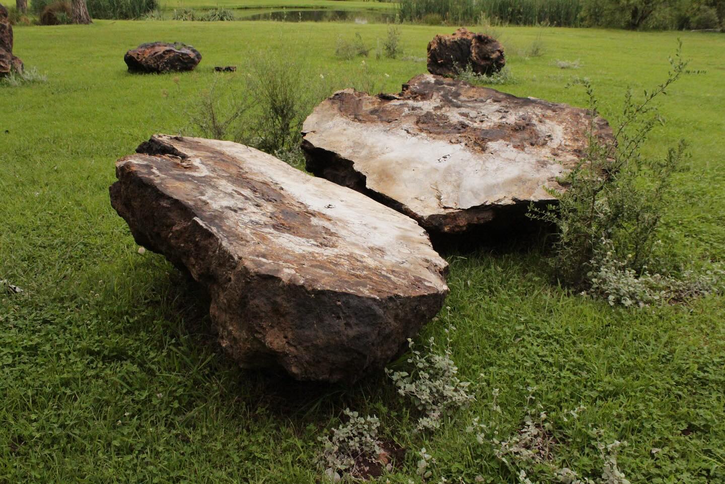 Willem Boshoff's Stone Circle is one of the permanent installations at Nirox Sculpture Park. Photo: Nirox Foundation.