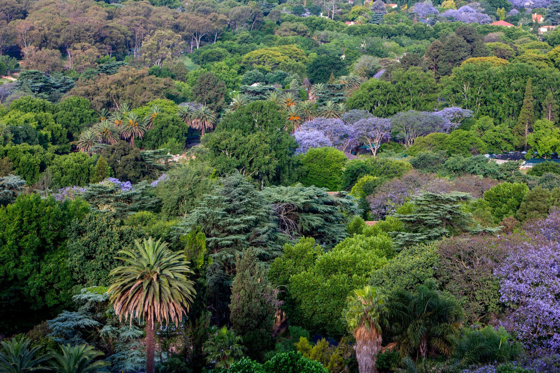 A view from Four Seasons The Westcliff. Photo: Richard Waite.
