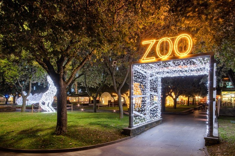 Festival of Lights at Joburg Zoo