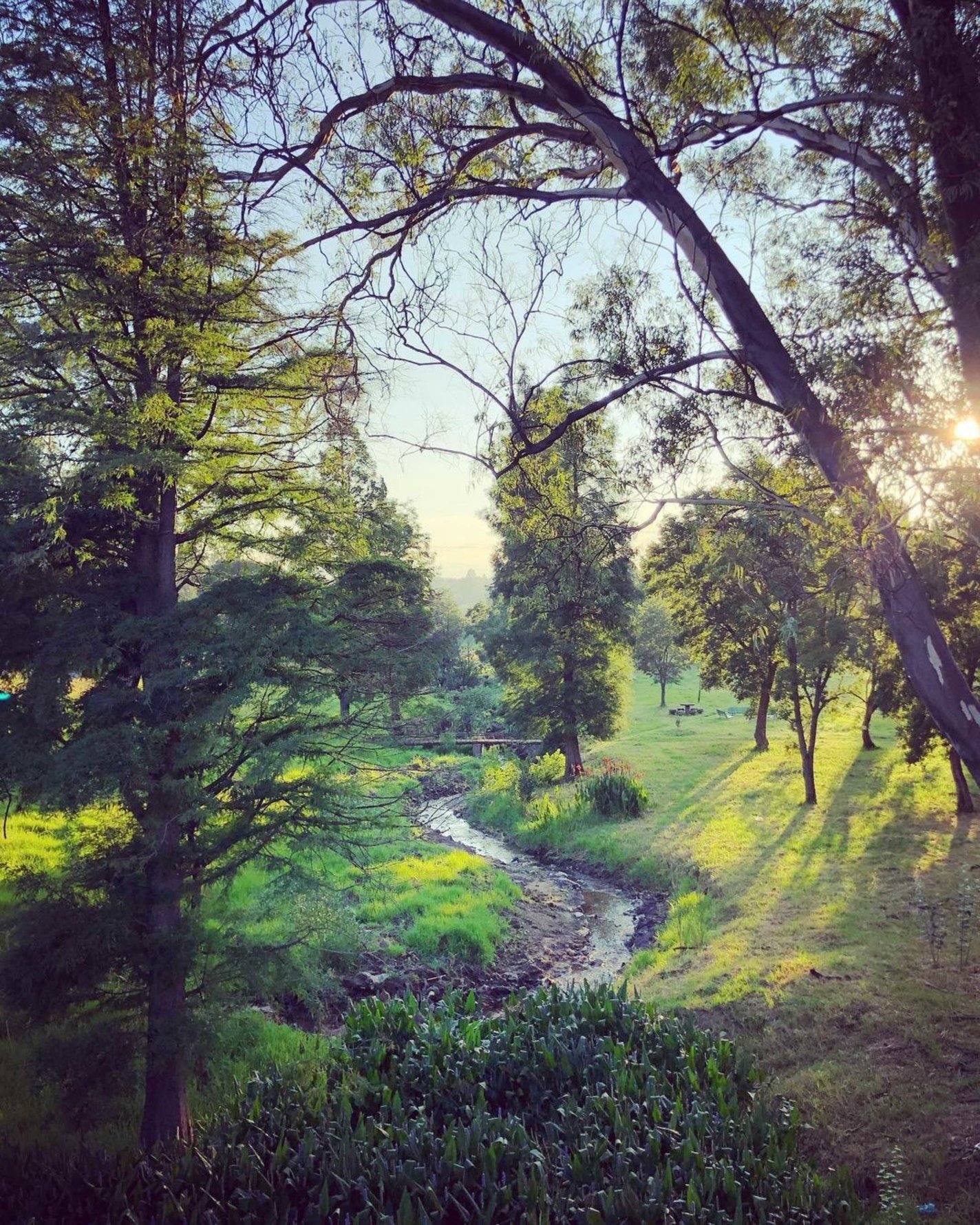 James and Ethel Gray Park. Photo: @republicofnorwood.