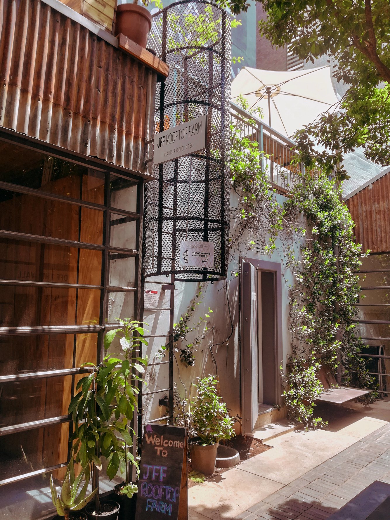 Jff Rooftop Farm Cafes Coffee Shops Delis Johannesburg