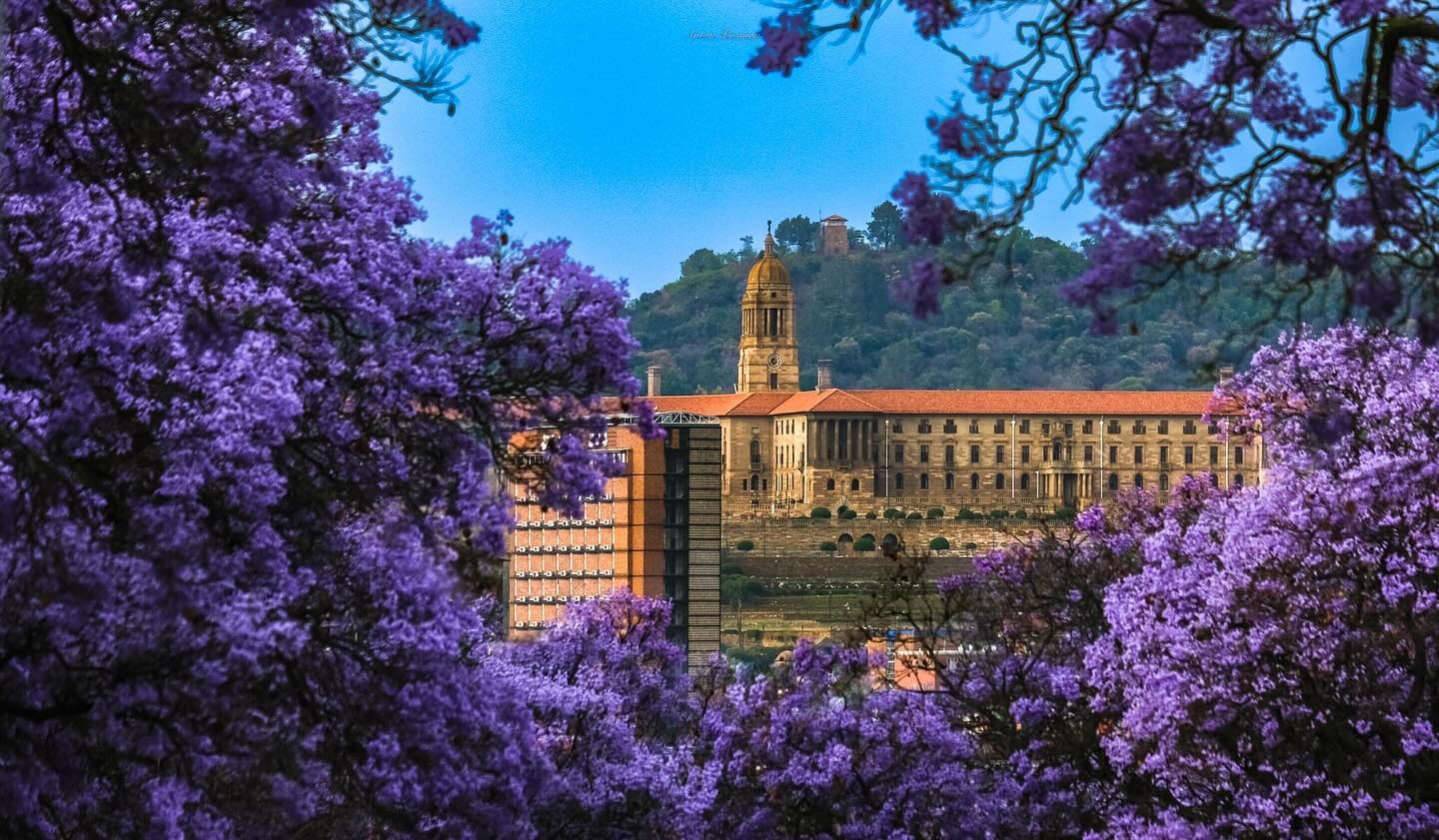 The iconic Union Buildings, framed by jacarandas in bloom. Photo: @antbosman.