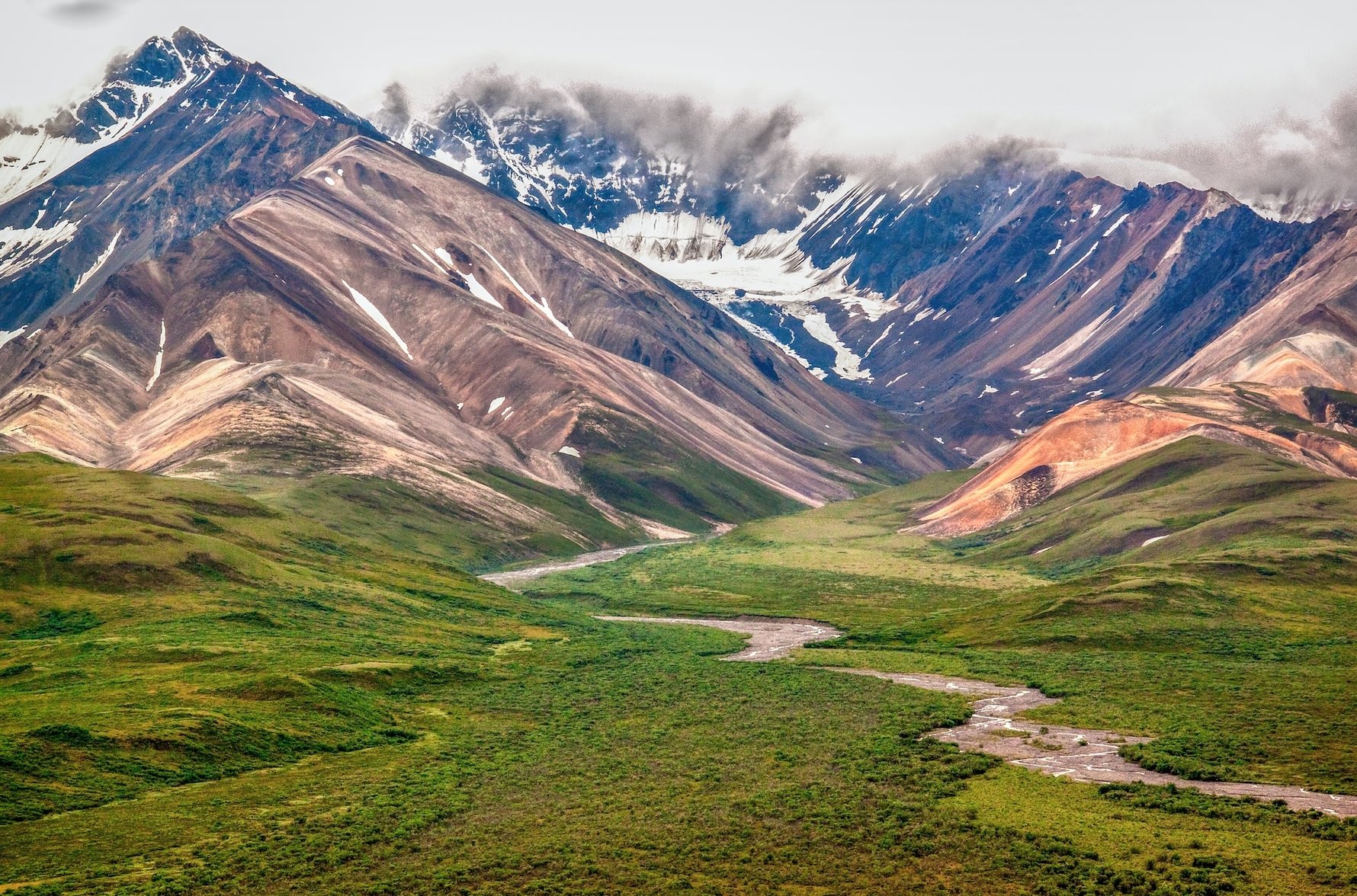 Trails and Wildlife to Explore in Alaska - Denali National Park © sterlinglanier-lanier-unsplash