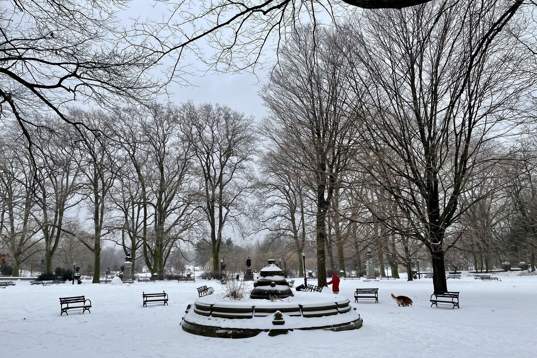 Prospect Park