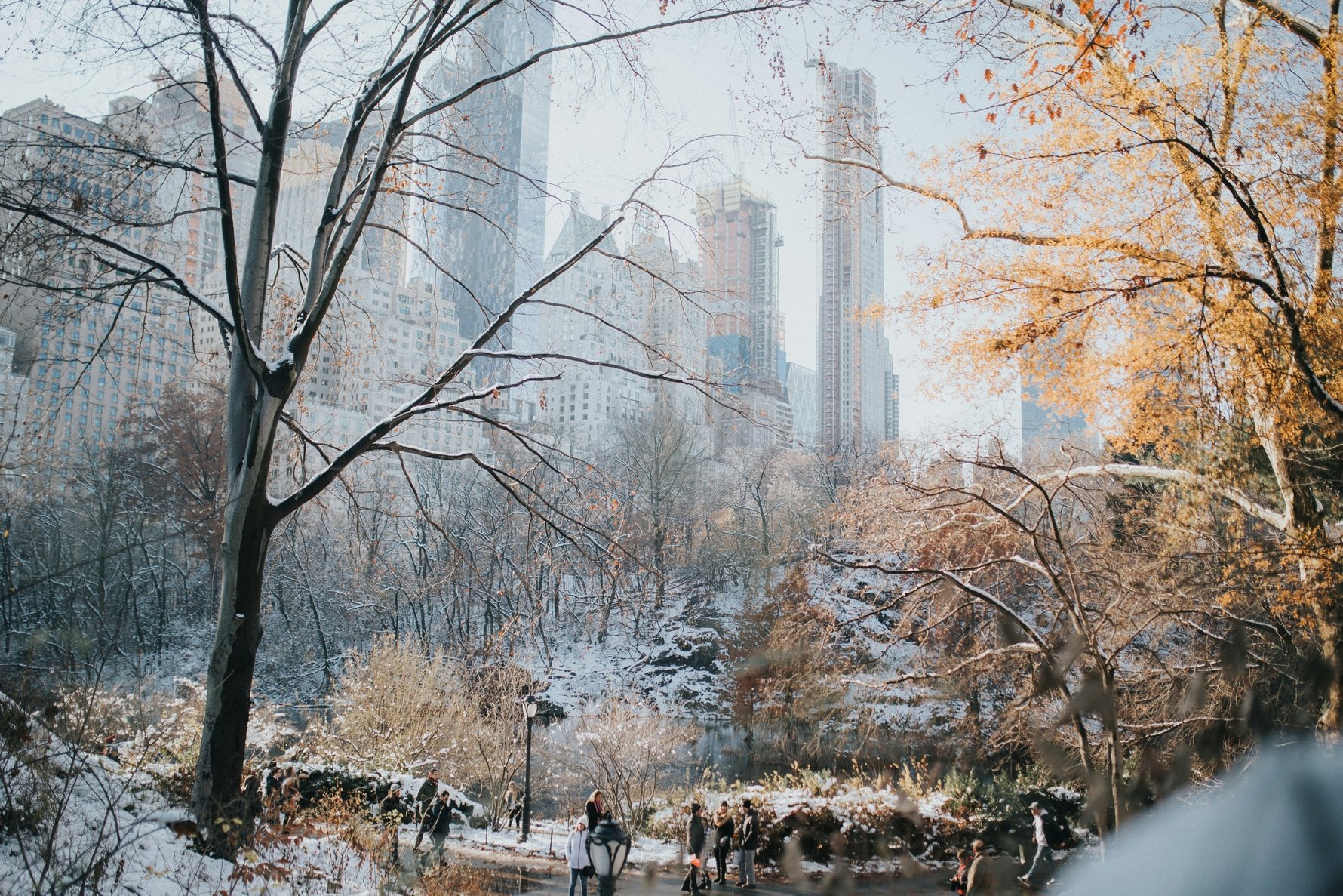 New York in Winter
