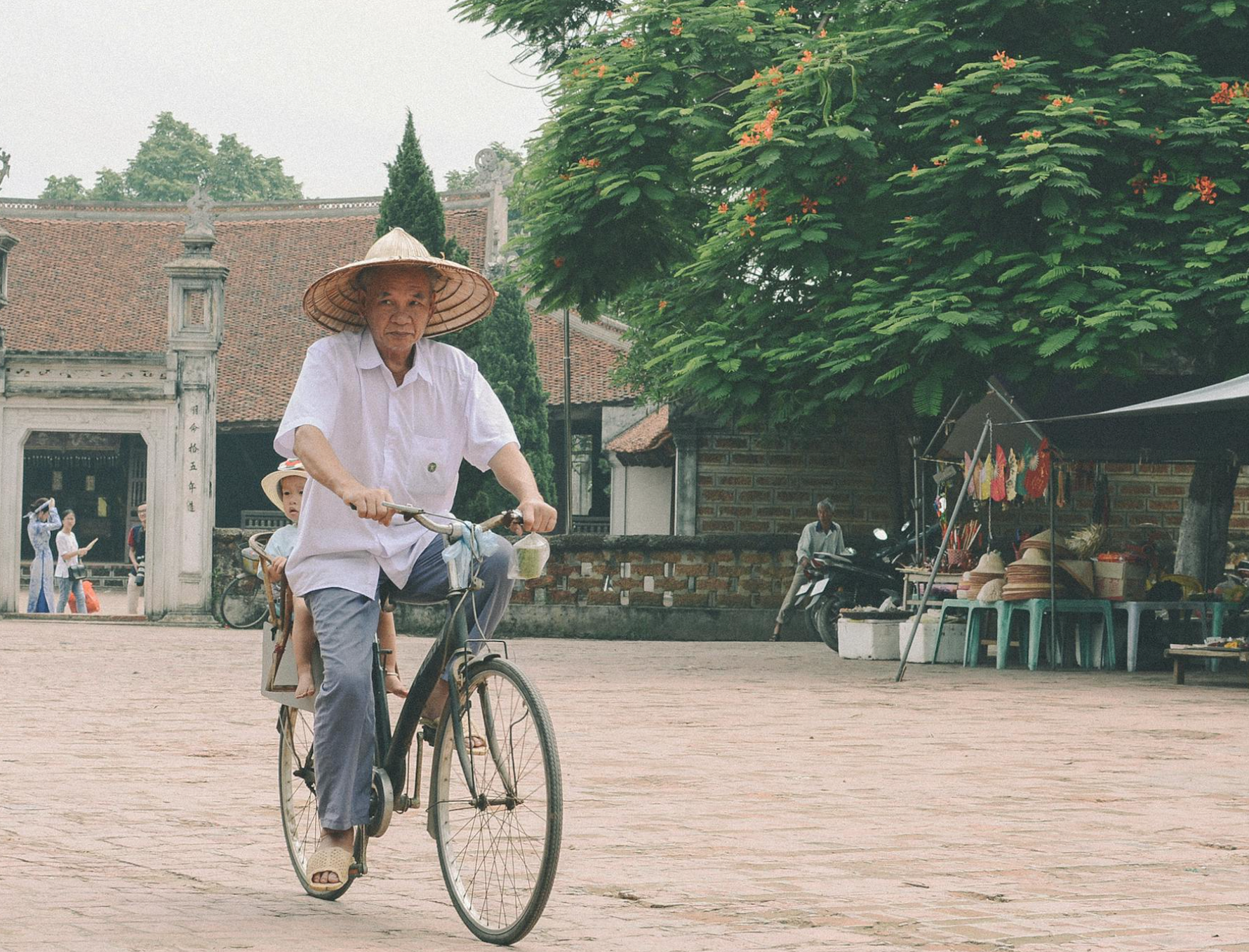 Cycling Adventures in Vietnam Trails for Nature Lovers